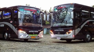 Agen Bus Harga Bus Tiket Bus PO Bus Satria Muda